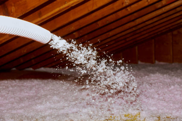 Best DIY Insulation Kits and Guidance in Carrollton, OH