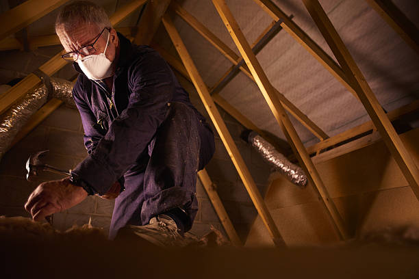 Best Residential Insulation in Carrollton, OH