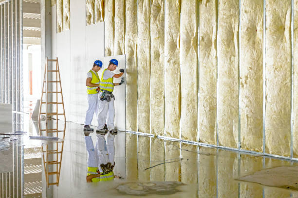 Best Eco-Friendly Insulation in Carrollton, OH
